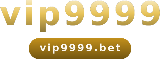 vip9999 logo
